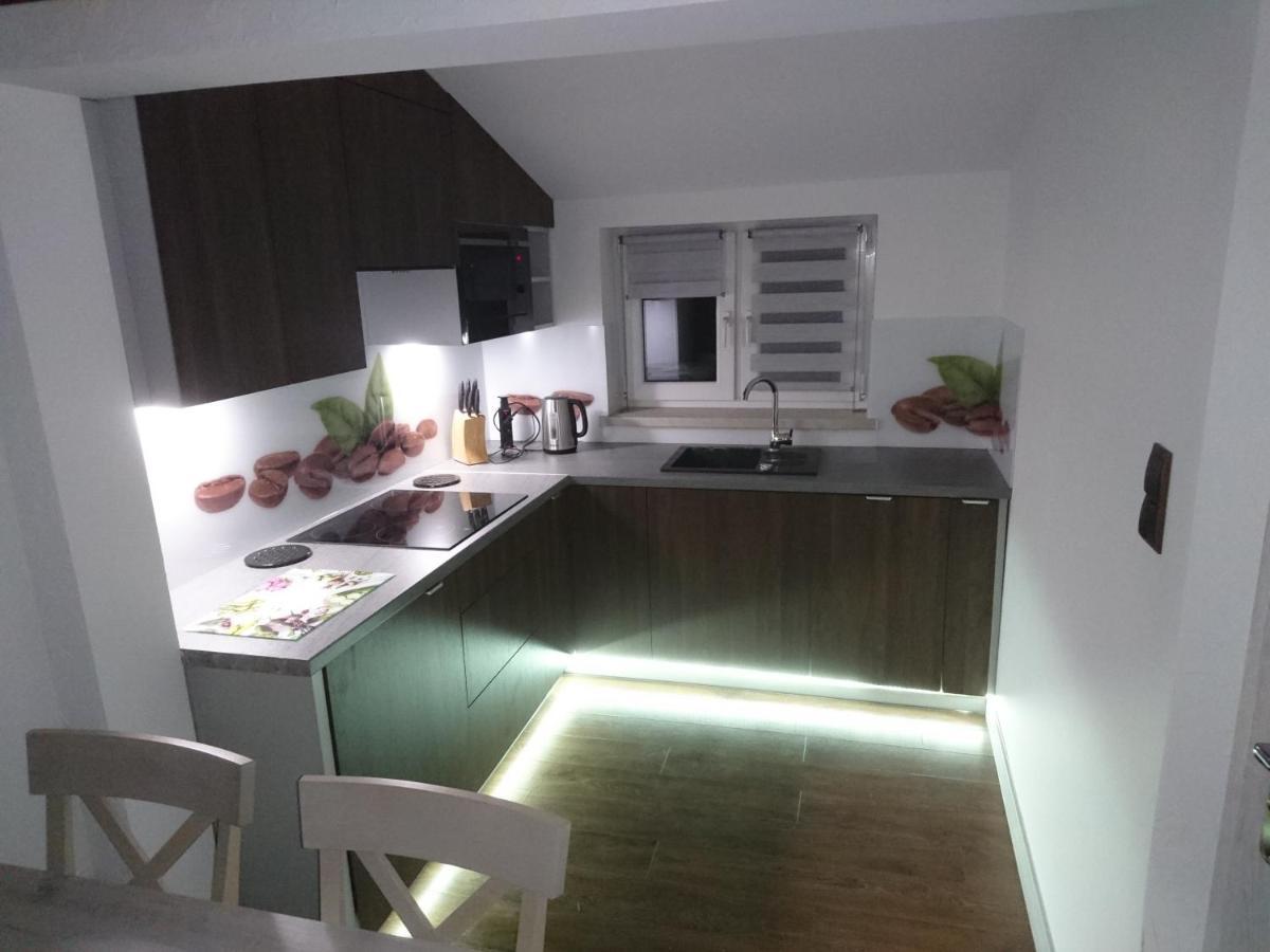 Apartament Elbrus Czyrna Szczyrk Wypozyczalnia Rowerow E-Bike Czyrna Szkola Narciarska & Wypozyczalnia Ski Serwis מראה חיצוני תמונה
